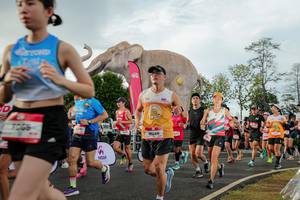 BIB: 
                            <button type="button" onclick="openModal(26528317)" class="btn btn-primary btn-sm float-right btn-popup" data-toggle="modal" data-target=".modal-high-quality">
                        <i class="fas fa-shopping-cart"></i> Add to Cart
                    </button>
                                            <button type="button" onclick="isThisMe(26528317, true)" class="btn btn-success btn-sm float-right btn-popup btn-isme hidden" data-toggle="tooltip" data-placement="bottom" title="นี่คือรูปของคุณใช่ไหม คลิกที่นี่เพื่อเอาเข้าอัลบั้ม">
                        <i class="fas fa-plus"></i> Add to album
                    </button>
                    <button type="button" onclick="isThisMe(26528317, false)" class="btn btn-warning btn-sm float-right btn-popup btn-isnotme hidden">
                        <i class="fas fa-ban"></i> Remove from album
                    </button>